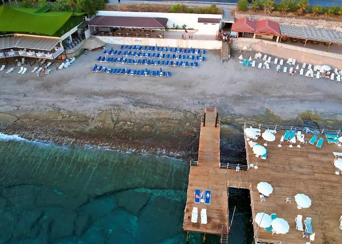 Blue Fish منتجع 4*